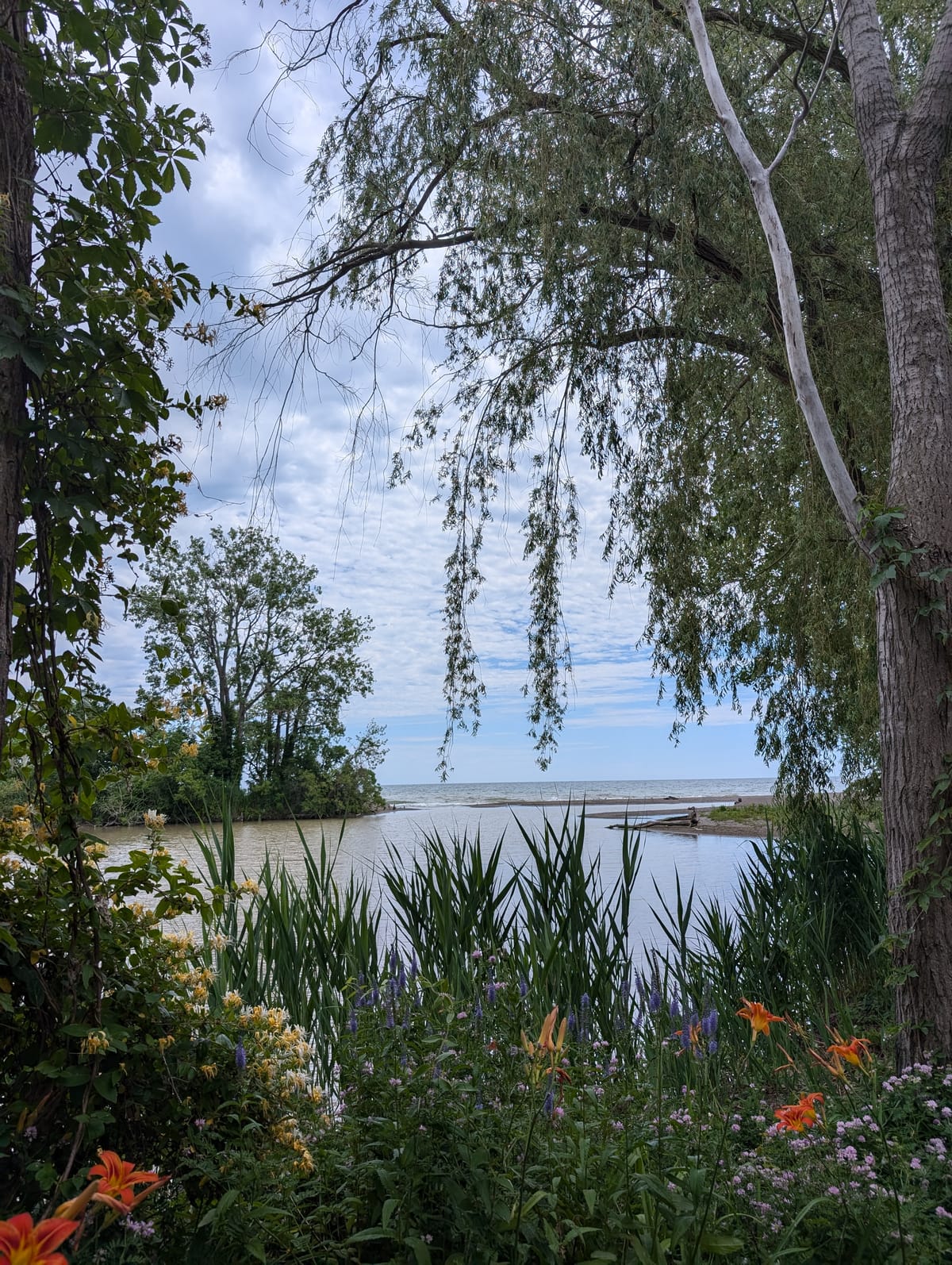 Holiday Harbour Resort — 3