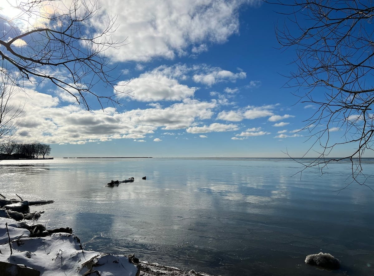 Mitchell's Bay Marine Park Limited — 4