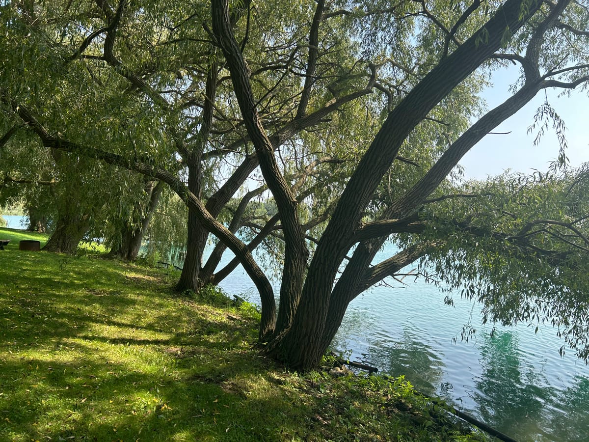Shiloh Park Campground & Marina — 2