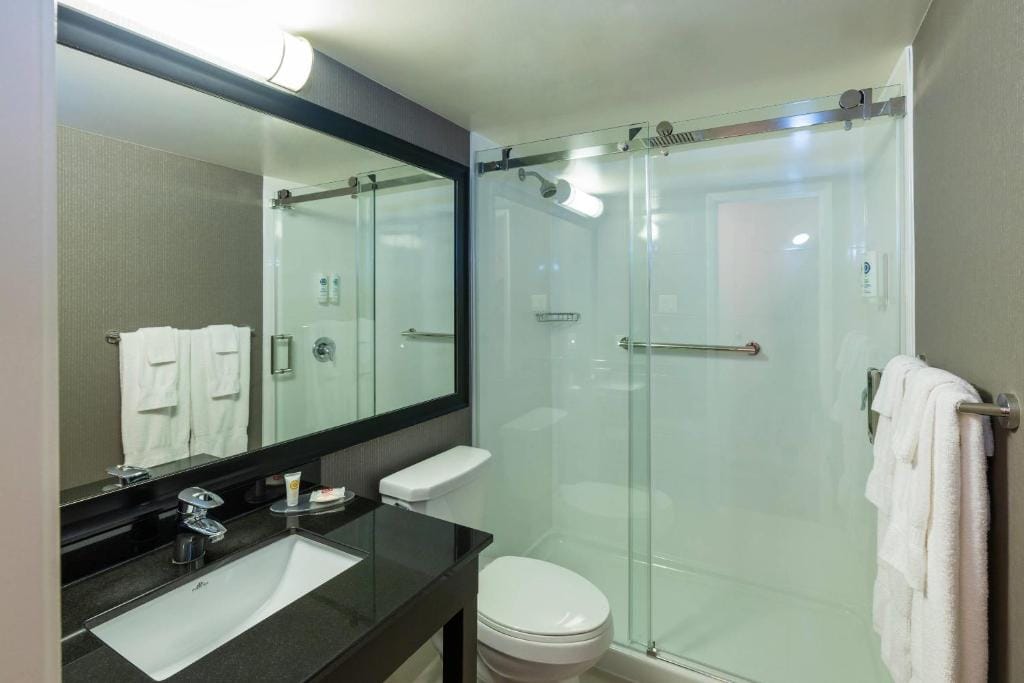 Comfort Inn Corner Brook — 3