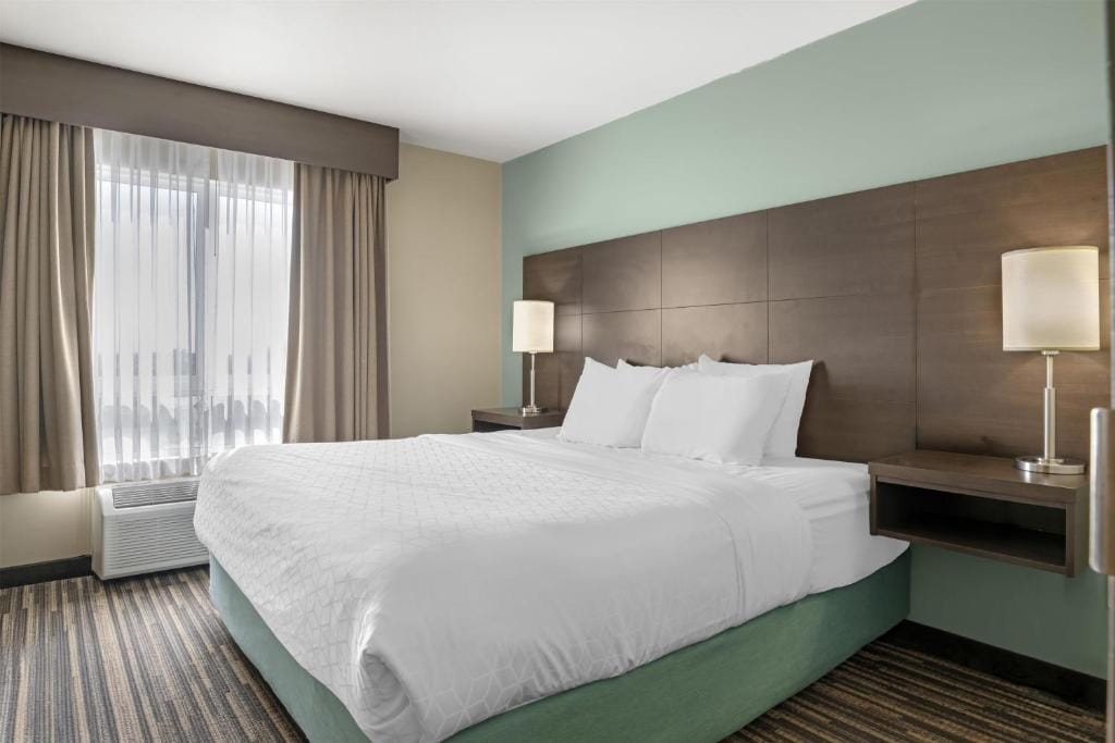 Best Western Plus Dartmouth Hotel & Suites