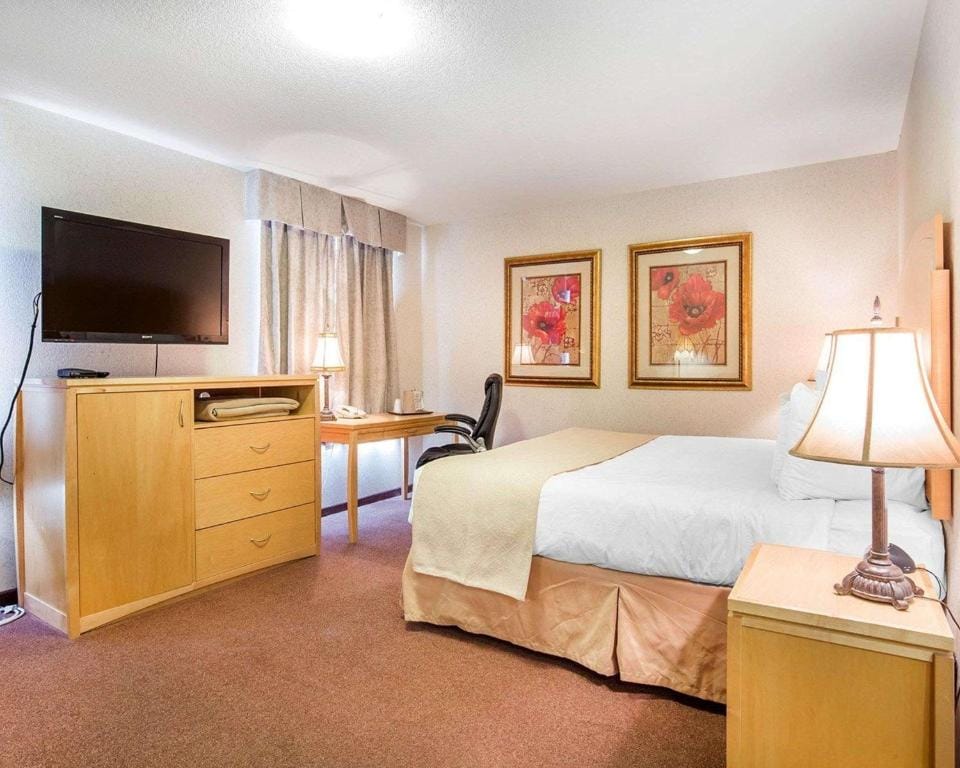 Quality Inn & Suites — 5