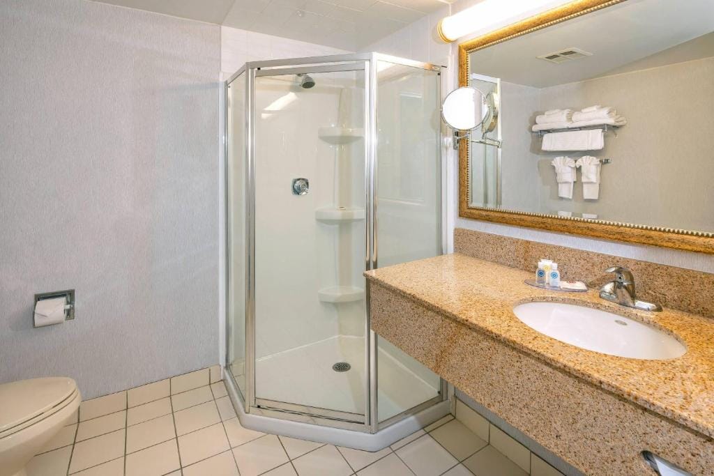 Comfort Hotel & Suites — 3