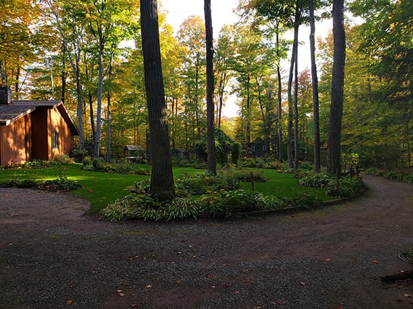 Consider the Lilies Bed and Breakfast — 2