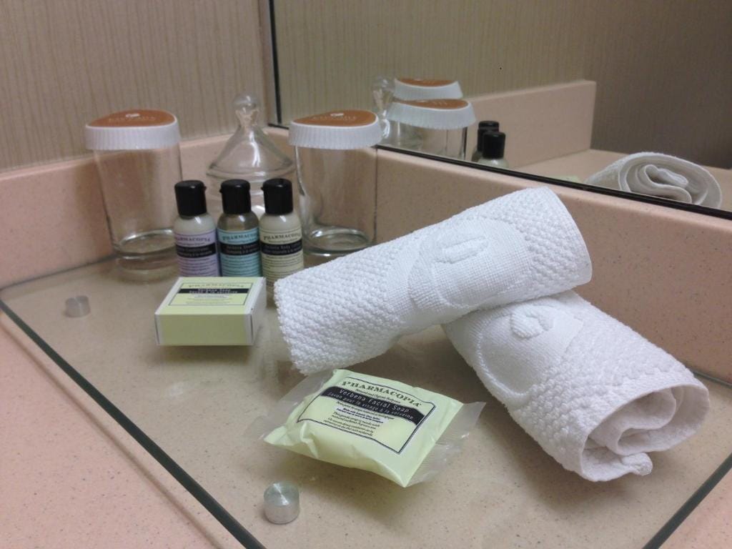 Executive Hotel Vancouver Airport — 3