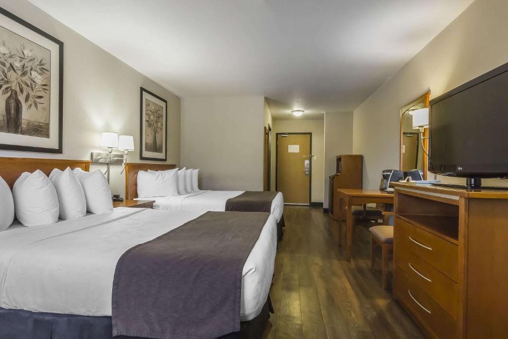 Quality Inn & Suites — 4