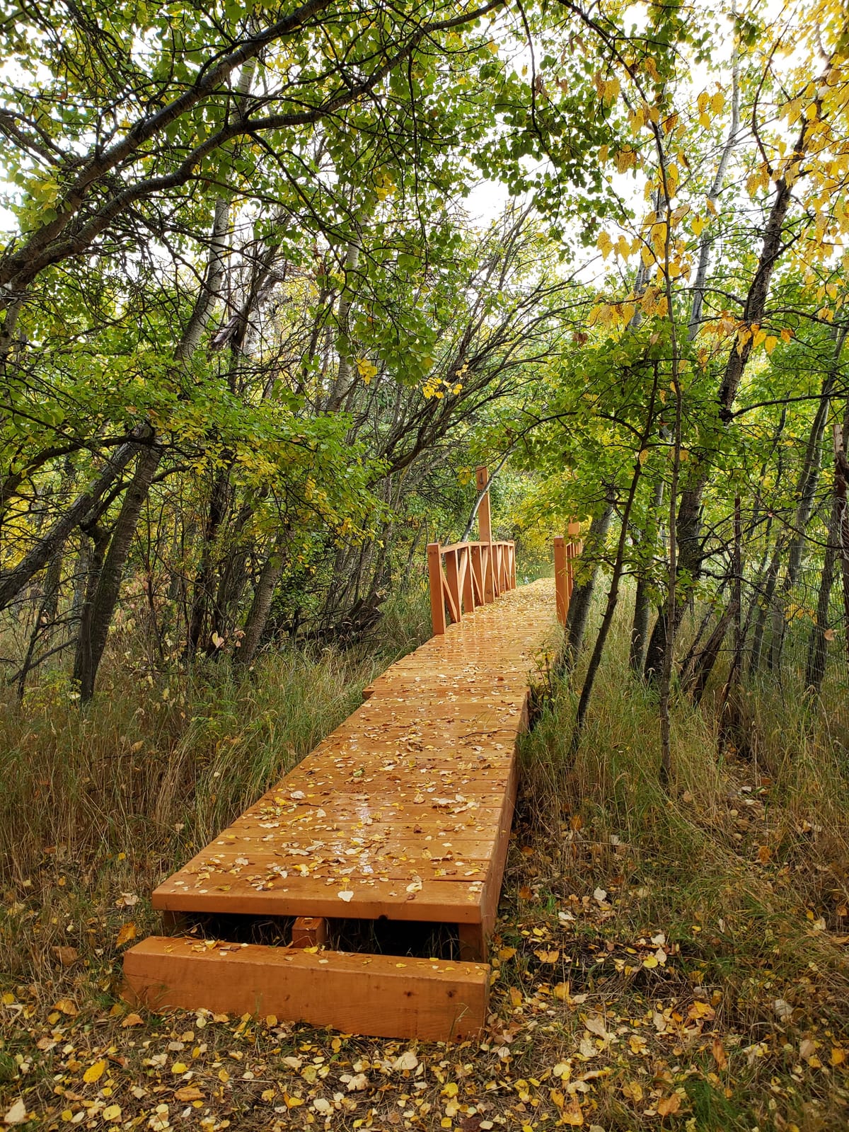 Kawtikh RV Retreat — 1