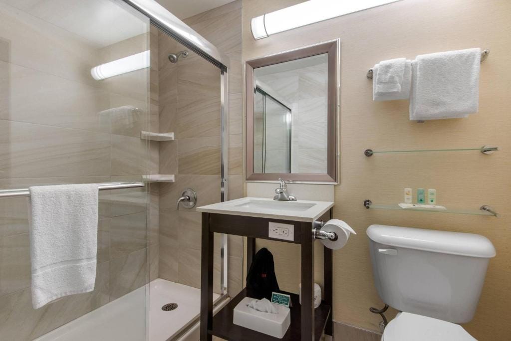 Quality Inn & Conference Centre Downtown Sudbury — 3