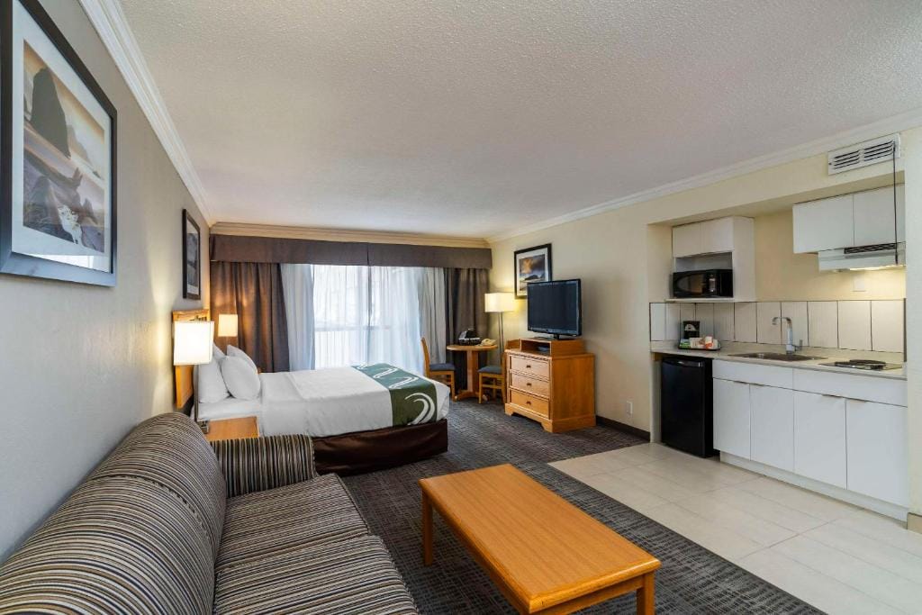 Quality Inn Downtown Inner Harbour — 5