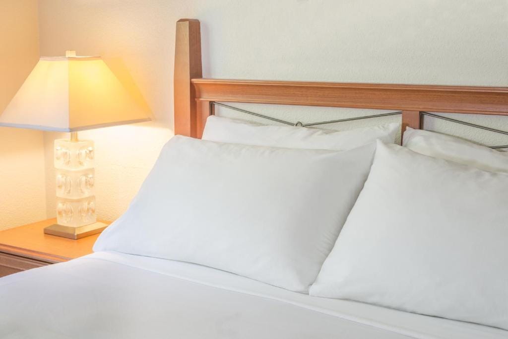 Robin Hood Inn and Suites — 4