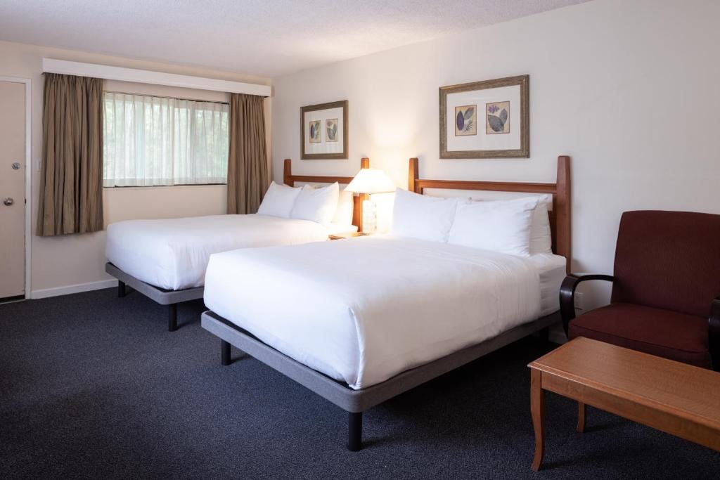 Robin Hood Inn and Suites — 5